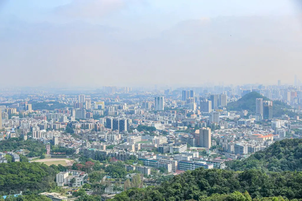 广东企业系统集成项目中的软件开发选型对比分析