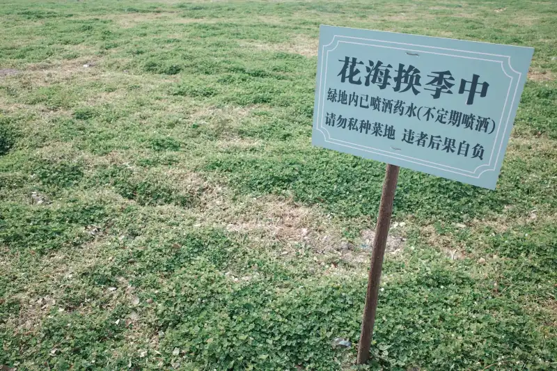 广东横琴企业数字化转型中软件定制开发的关键环节与实施路径