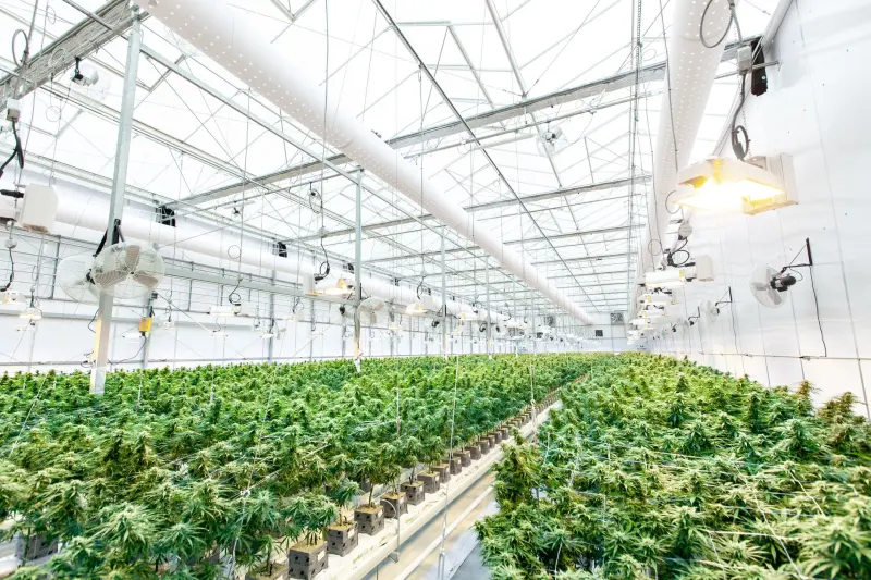 横琴企业数字化转型：软件定制开发与系统集成方案设计要点