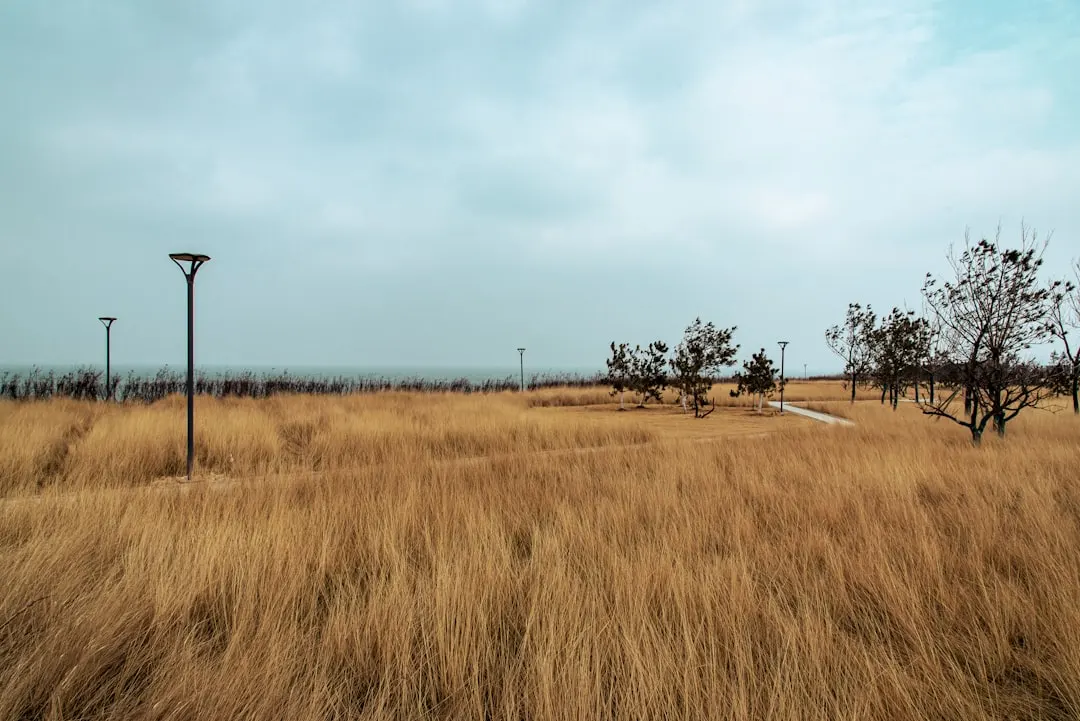 广东企业数字化转型：系统集成项目的关键实施路径与风险防控